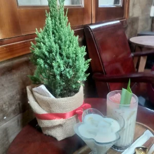 chichlasuongのPublicの枚の写真