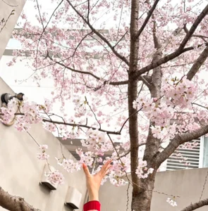 MAMESHIBA__ 思い出 사진 3