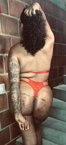 Piel_CanellaPublic Bild 2