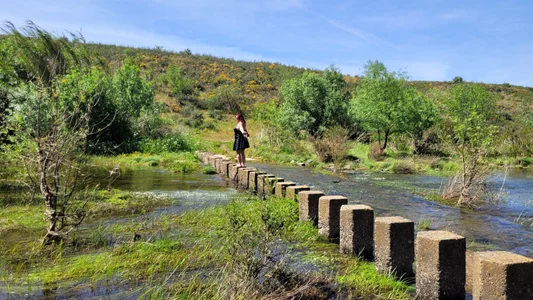 NikkiHolland: River walk in latex dress ( 9 фото)