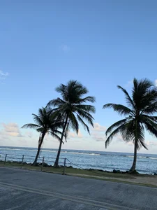 RosieRider_ Sea, sand and sun Pic 4