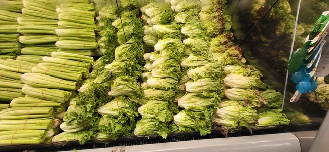 gdawg78 Public Pic 2