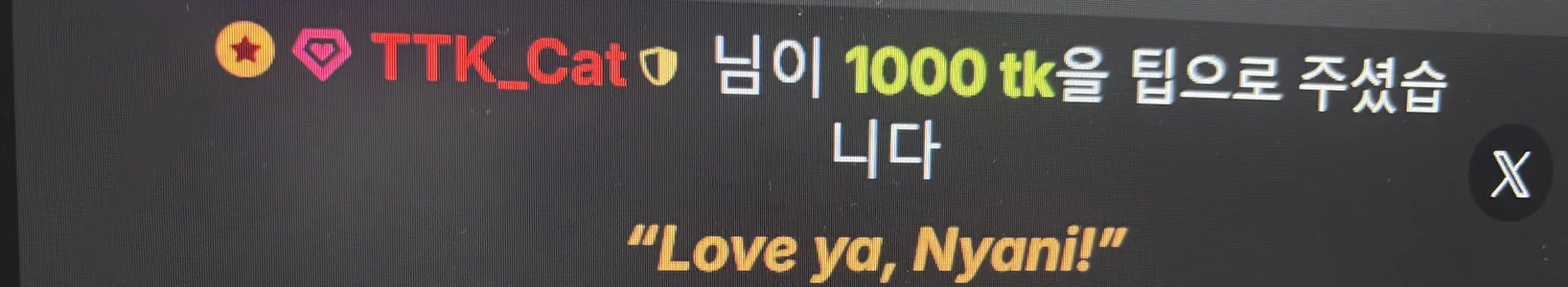 Kor_Cat 내 사랑둥이들 ❤️❤️❤️ 사진 7