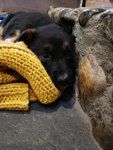 pareja-ma Public Kuva 2