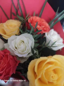 Public od feerir63  snímek