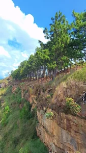 Zdjęcia MariaPau_83 I love my freedom 💜🍃🌷:  8