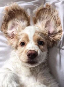 MiaKirshner Public Pic 3