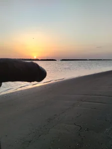 pegaso369 Spiaggia con l'alba Bilde 3