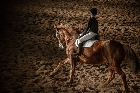 Ride on the horse de AnabelHun  Imagens