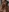 -Sacura-'s photo