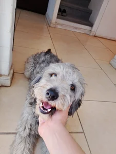 Zdjęcia nicocaceres95 Chile🇨🇱: 