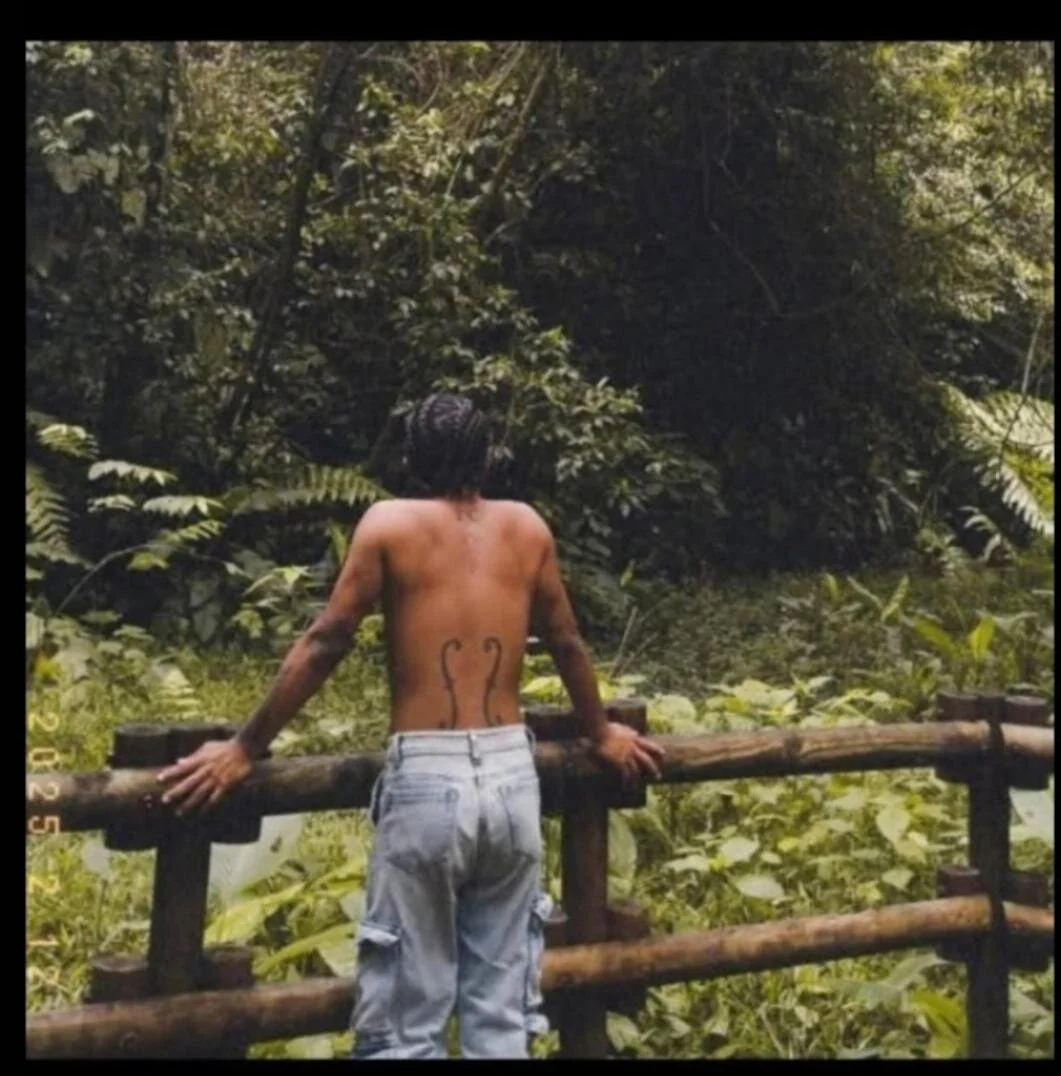 LucaCruz_ Populært bilde 7722