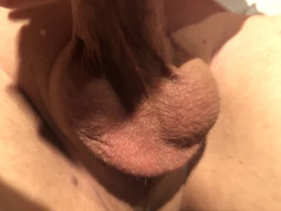 PetTwoのPublicの 9枚の写真