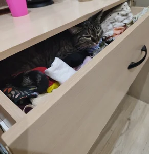 LanaRadiance My favorite Splyushka😸(My pussy) Pic 4