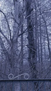 VeliraBraitberg Autumn in Russia Immagine 