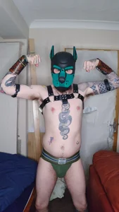 Castbotter1995 a puppy hood Kuva 3