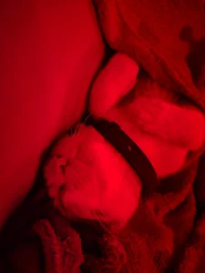 lucas.. de Darwinstark_  4 Imagens