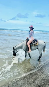 Paulina_627 pau Bilde