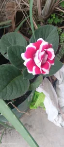 luving75 Public Foto 2