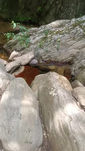 CrystalFox_Ofc Public Pic 4