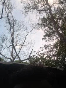 shanu2002 Public Hình