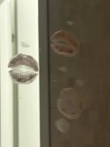 royce_ghost1 Sexy Vibe Pic 9