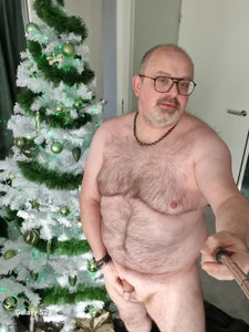 Bibear197511 Merry Xmas❤️❤️ Foto