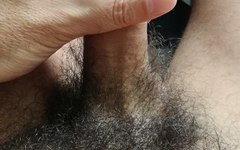 ymelvil Public зображення