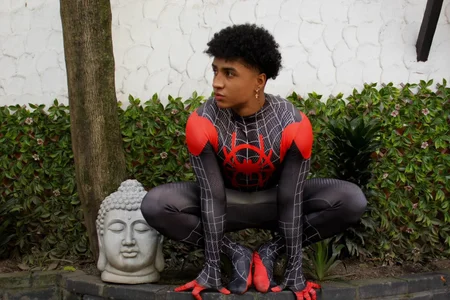 MagnusKing_ your spider man зображення 3