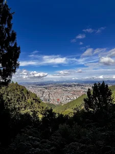 pamela__mar 🏞️🌳🌿🍀🌻 Foto 4