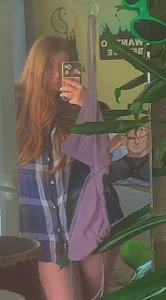 Sienna-Cow Public Foto 3