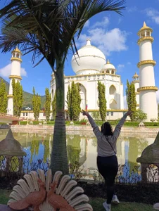 scarlet_queen__ 🎁🎁 free day 🦋🌸🎁🎁 صورة واحدة|scarlet_queen__ 🎁🎁 free day 🦋🌸🎁🎁 صورتان|scarlet_queen__ 🎁🎁 free day 🦋🌸🎁🎁  4 صور|scarlet_queen__ 🎁🎁 free day 🦋🌸🎁🎁  4 صورة