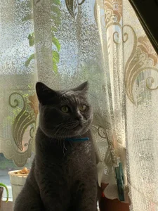 liana_kisses Day with Liana 😋🌞 Immagine 