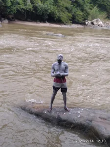 Public od sharpei  6 snímek