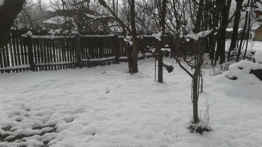 ExquisiteMature Winter Sun Poză 5