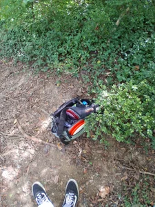 Public de pena633 Foto 5