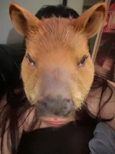 BlazedPauX LOOOL Pic 4