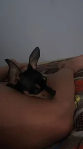 lizzy_kane Your sweet and crazy Lizzy 🎈🍒🌼🧠 Pic 2