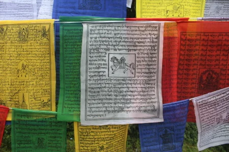 Gre3k_godWhere m i Bild 8