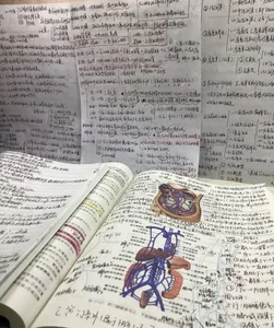 lemon678 西西上课日常 зображення