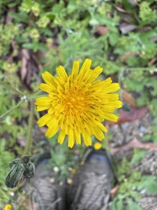 Youns98's XXX Nude Photo 2