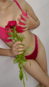 laila66 Rose 🌹  3টি ছবি