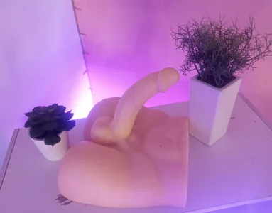 SweetRenata_ My toys slika 3