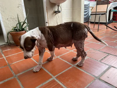 Pinkie_Princes Public Foto