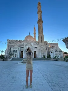 TelepuzikkPublic Bild