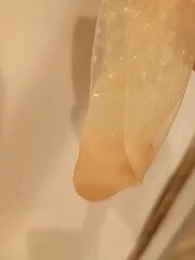 Public de exhibbisex  3 photos