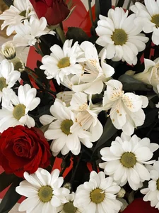 MaryMurray Miss girl 🥰💐 Foto 4