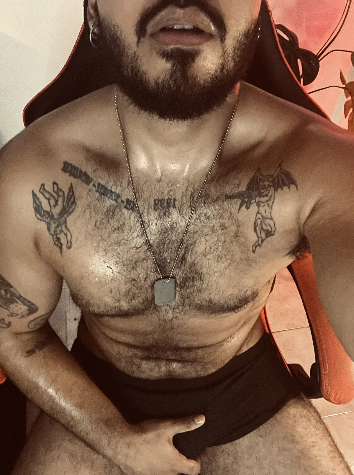 nate_rott 님의 트렌드 중인 사진  9865개