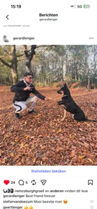 Geilalfaro Public Immagine  2