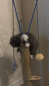 angelic babyyyyy😍😍😍 de AliceBrayan  Imagens